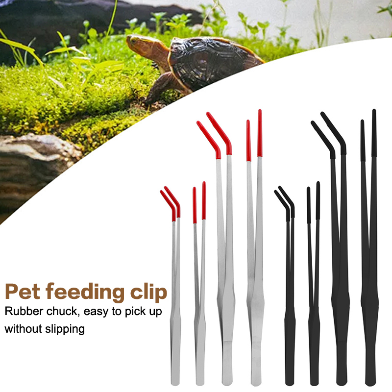 Strumenti per acquari esperti: - Feeding Tong Stainless recensione e prezzo