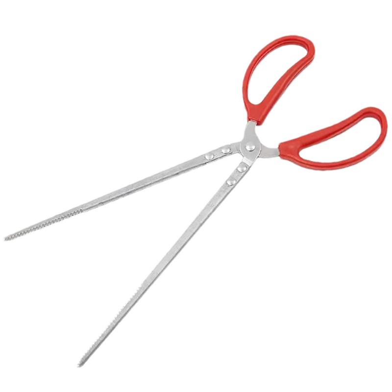 Mangiatoia per rettili in acci - Feeding Tong Stainless recensione e prezzo