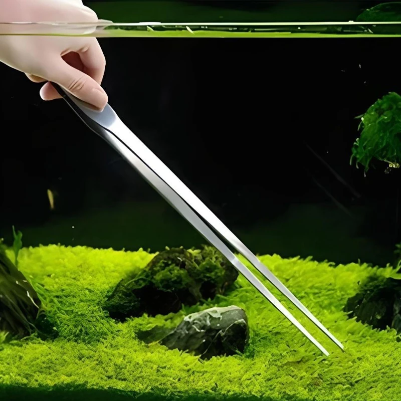 Pinze per Acquario in Acciaio  - Feeding Tong Stainless recensione e prezzo