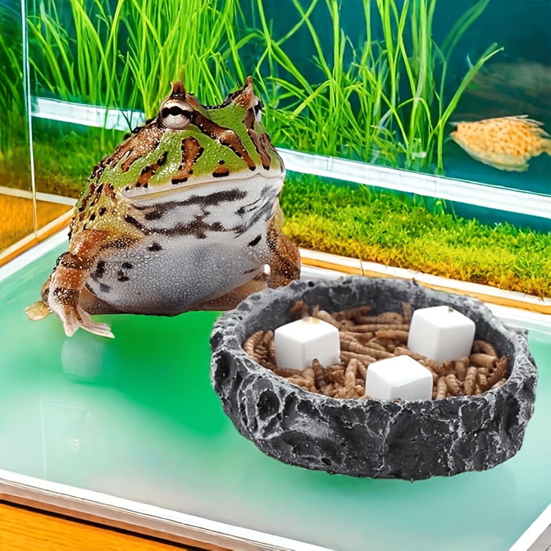 6 Pezzi di Blocchi di Calcio p - Calcium Powder Reptile recensione e prezzo