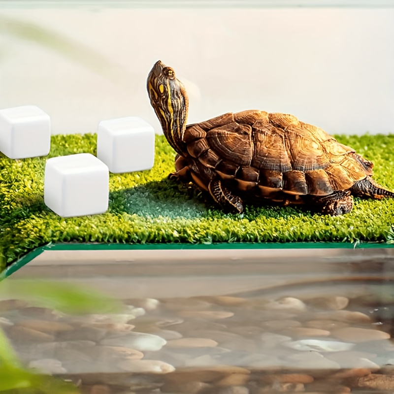 6 Pezzi di Blocchi di Calcio p - Calcium Powder Reptile recensione e prezzo